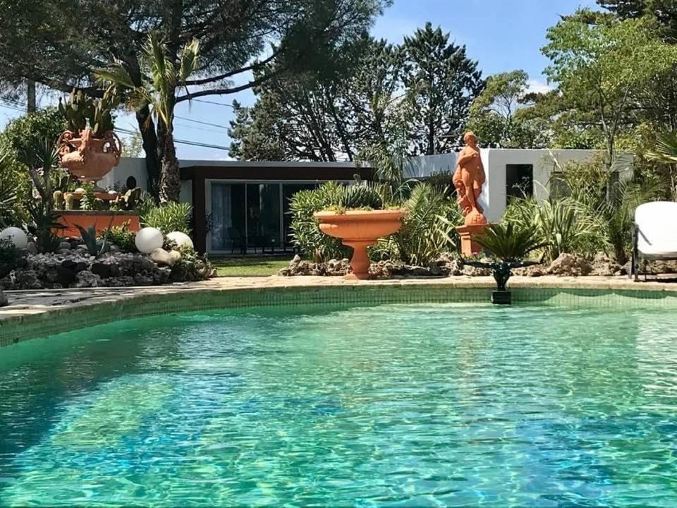 La Cactee Singuliere Bed & Breakfast Безие Екстериор снимка